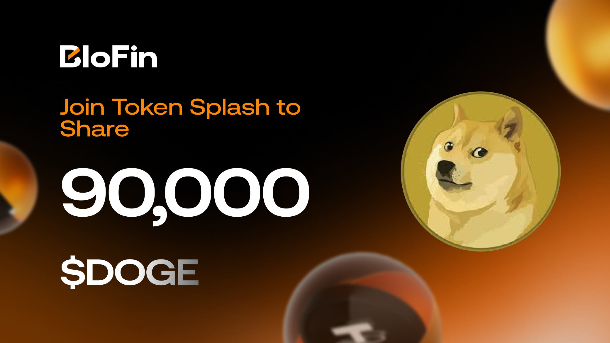 DOGE1600_900.png