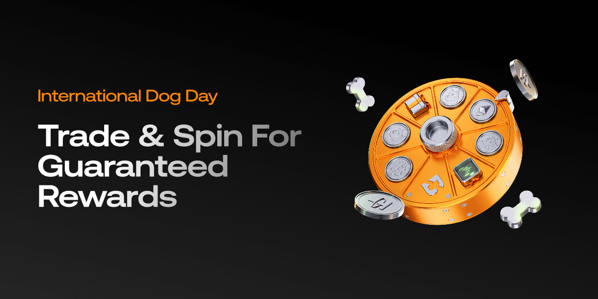 International Dog Day: Trade & Spin